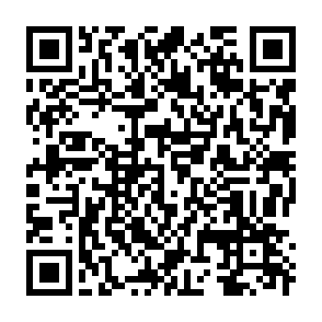 qrcode-generado